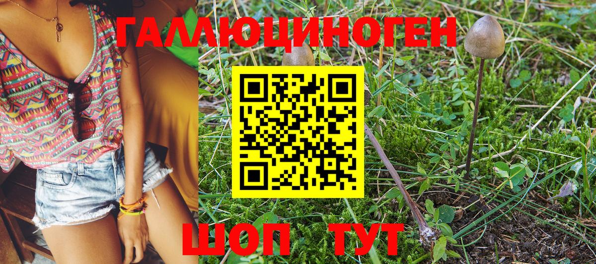 Псилоцибиновые грибы MAGIC MUSHROOMS Назрань