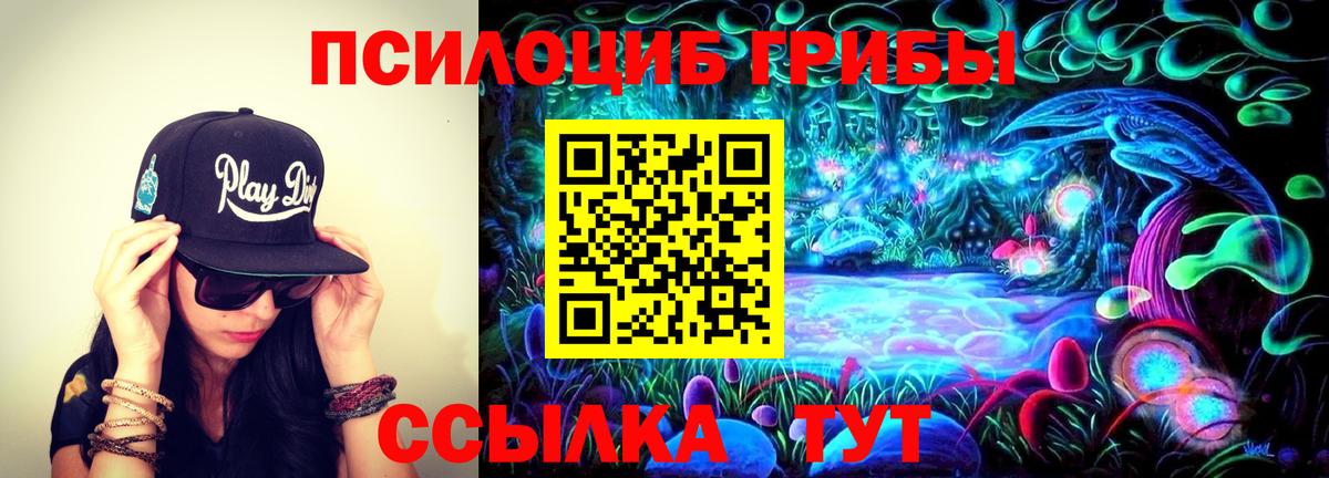 Назрань  Псилоцибиновые грибы GOLDEN TEACHER  Вход с VPN 